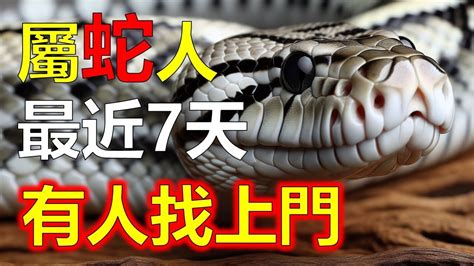 屬蛇 個性|【屬蛇個性】揭密屬蛇人靈動的內心世界，2024蛇年運勢解析！